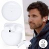 Set Lowchen