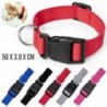 Collar Mastif