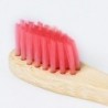 Cepillo Dientes Becu