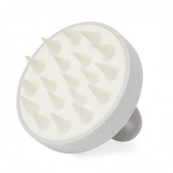 Emulsionador Nocote