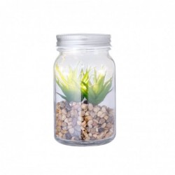 Planta Decorativa Kyala