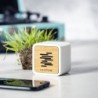 Altavoz Pixie